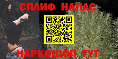 индика Аргун