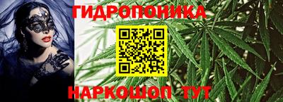 индика Аргун