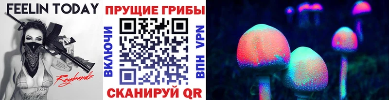 Псилоцибиновые грибы GOLDEN TEACHER  mega ссылка  Верхний Уфалей  купить закладку 