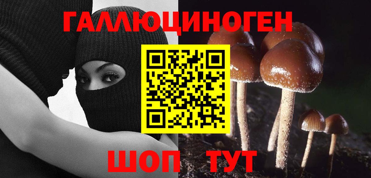 Галлюциногенные грибы мухоморы Верхний Уфалей