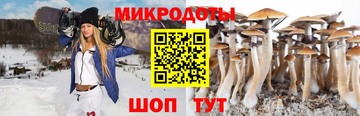 Галлюциногенные грибы Psilocybe  Псилоцибиновые грибы мухоморы  Вход с VPN  Верхний Уфалей 